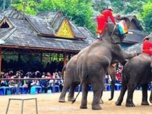         泸沽湖----冬季恋歌...
