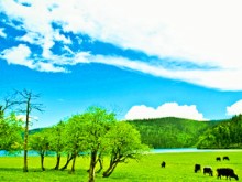         石林、大理、丽江、香格...
